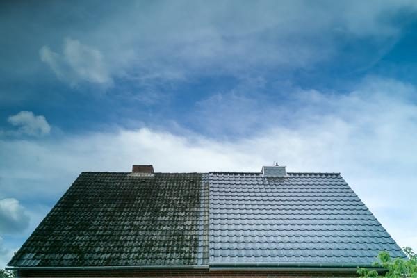rengøring køge algebehandling tagrens facaderens privat